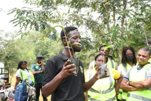 MTN Ghana, Rainforest Alliance, Chipa Forest Reserve,