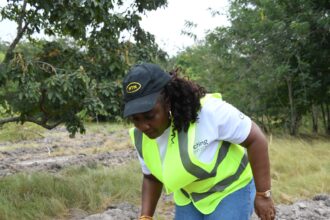 MTN Ghana, Rainforest Alliance, Chipa Forest Reserve,
