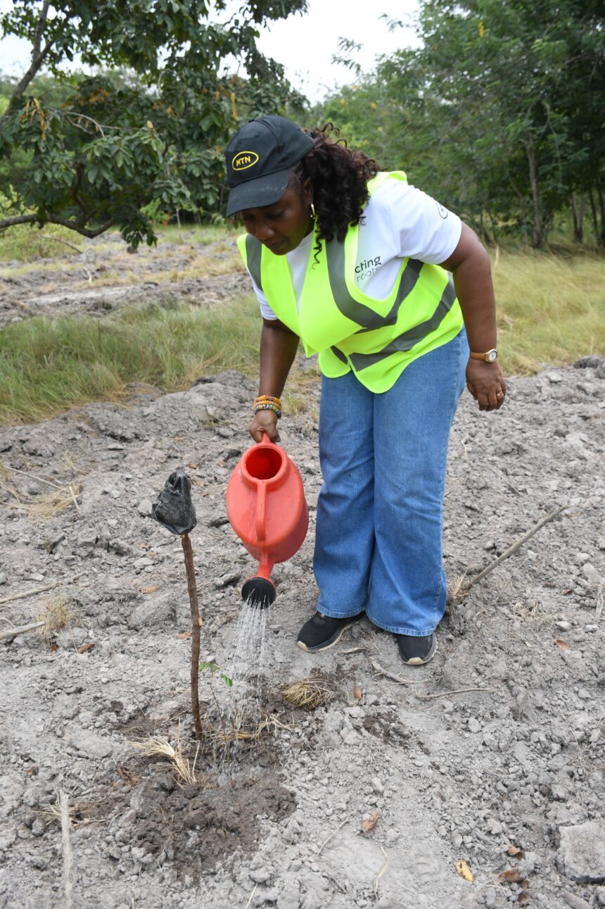 MTN Ghana, Rainforest Alliance, Chipa Forest Reserve,