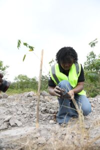 MTN Ghana, Rainforest Alliance, Chipa Forest Reserve,