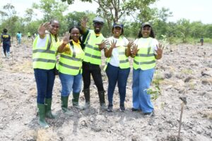 MTN Ghana, Rainforest Alliance, Chipa Forest Reserve,
