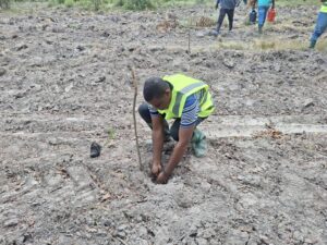MTN Ghana, Rainforest Alliance, Chipa Forest Reserve, 