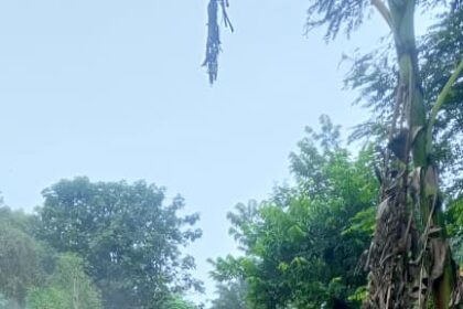 Zoomlion, Disinfestation, Ahafo Region