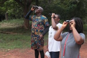 MTN Ghana, Ghana Wildlife Society, Bird, biodiversity