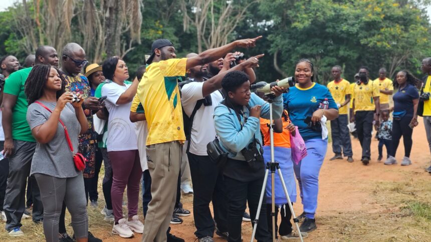 MTN Ghana, Ghana Wildlife Society, Bird, biodiversity