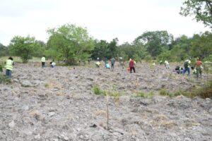 MTN Ghana, Forestry Commission, Rainforest Alliance, Chipa Forest Reserve