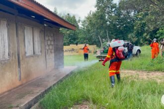 Techiman, Zoomlion, Disinfestation,