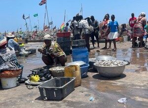 James Town Fishing Harbour, Market