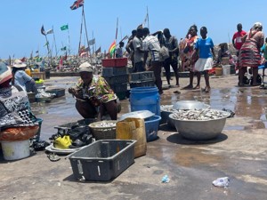 James Town Fishing Harbour, Market
